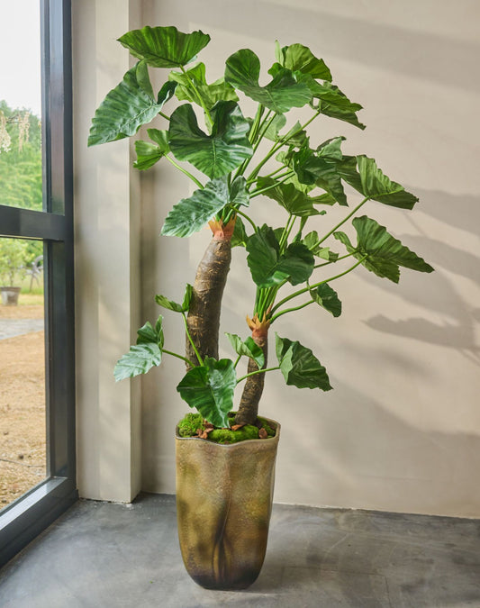 Alocasia pot groen 170 cm