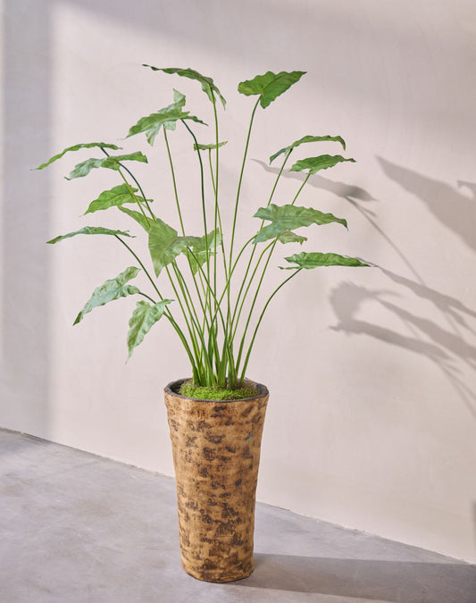Alocasia pot groen 133 cm