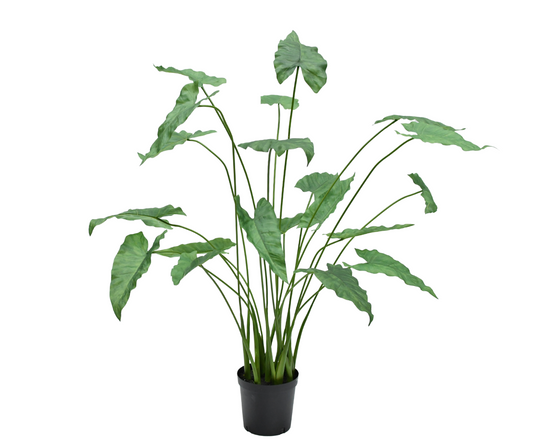 Alocasia pot groen 133 cm