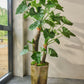 Alocasia pot groen 170 cm