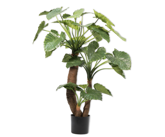 Alocasia pot groen 170 cm
