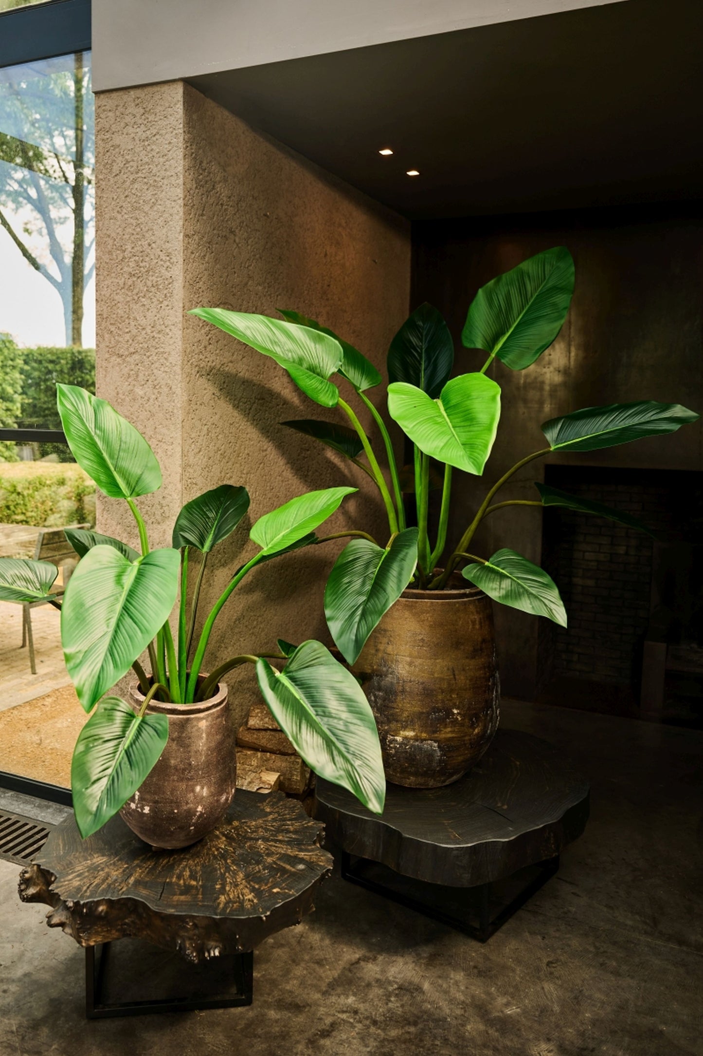 Alocasia pot groen 91 cm