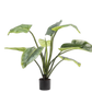 Alocasia pot groen 91 cm