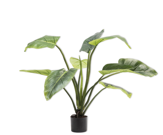Alocasia pot groen 91 cm