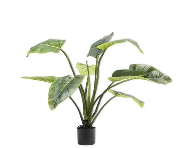 Alocasia pot groen 91 cm