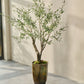 Olijf boom groen 198 cm