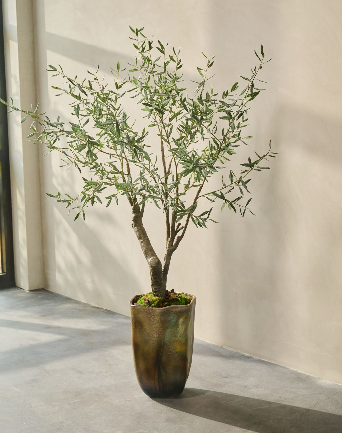 Olijf boom groen 198 cm