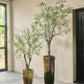 Olijf boom groen 198 cm