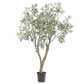 Olijf boom groen 198 cm