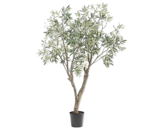 Olijf boom groen 198 cm