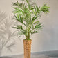 Palm pot groen 150 cm