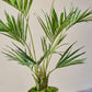 Palm pot groen 150 cm