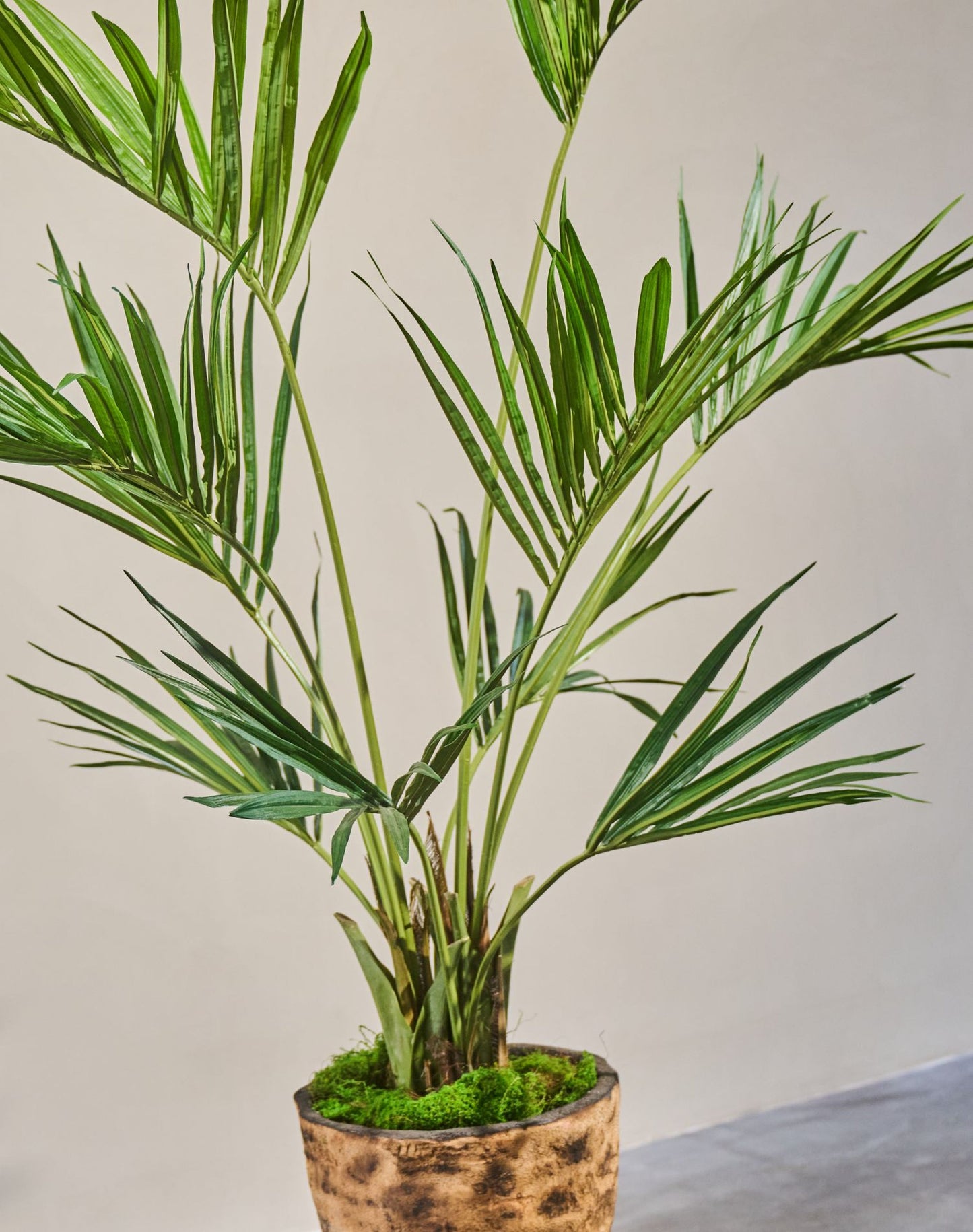 Palm pot groen 150 cm