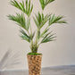 Palm pot groen 220 cm