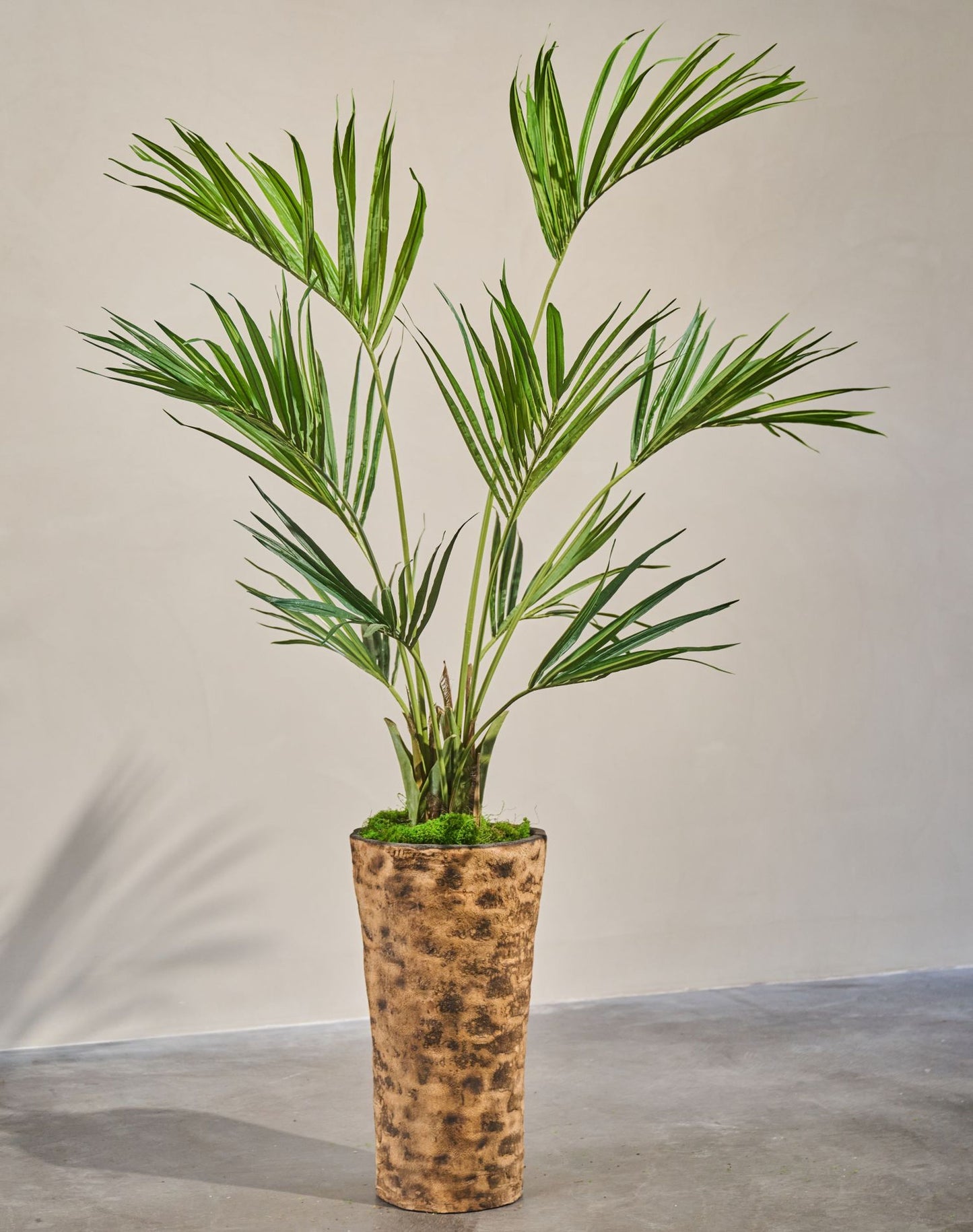 Palm pot groen 220 cm