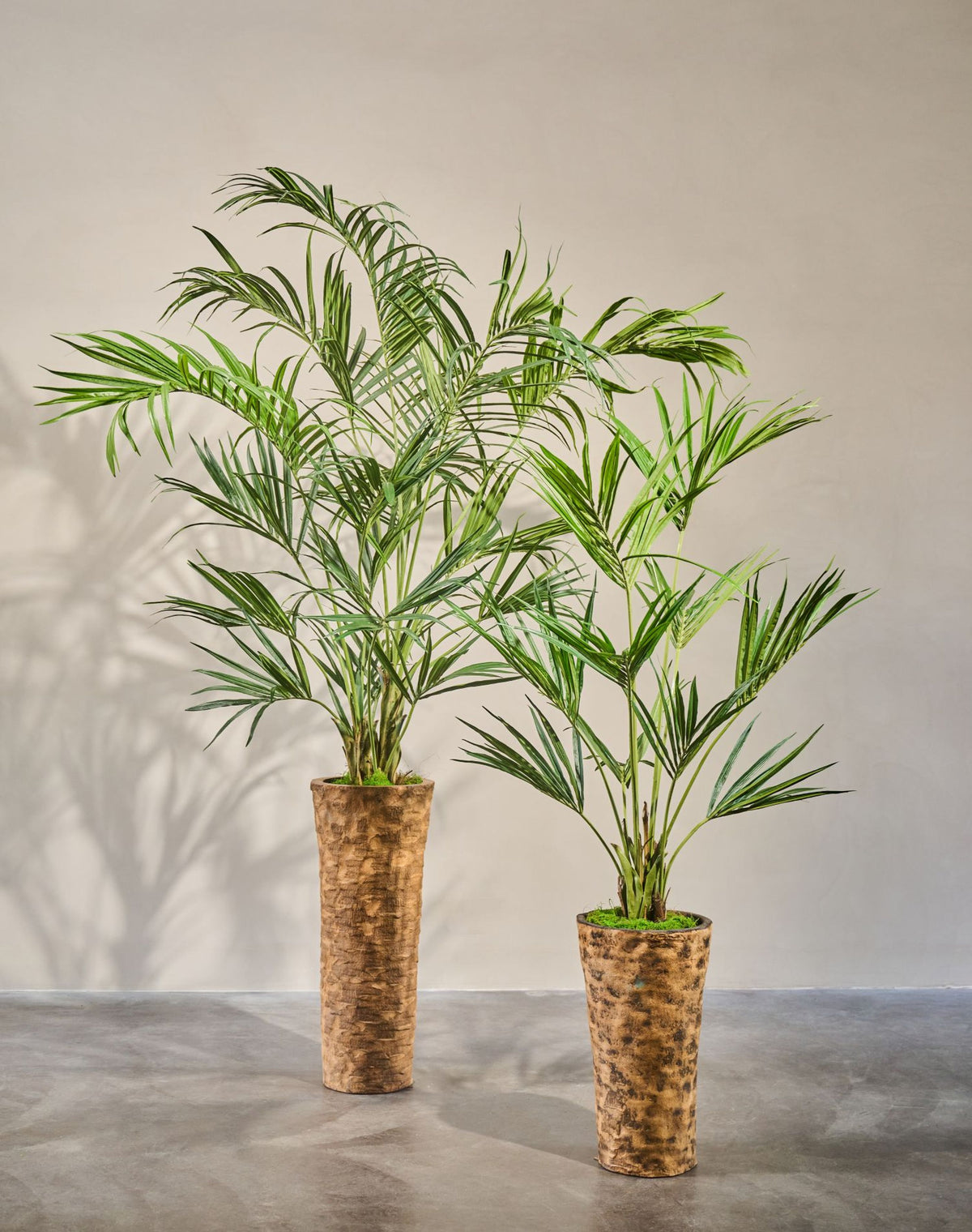 Palm pot groen 220 cm