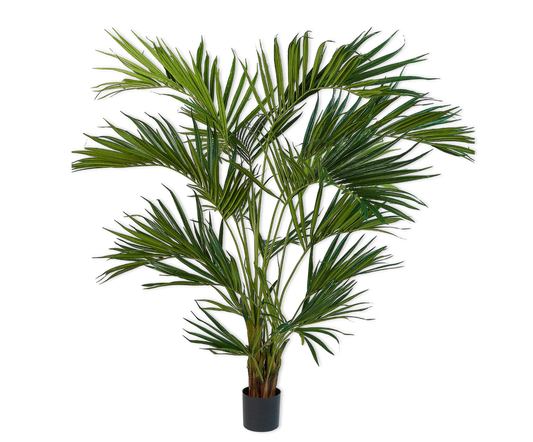 Palm pot groen 220 cm