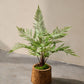varen pot groen 86 cm
