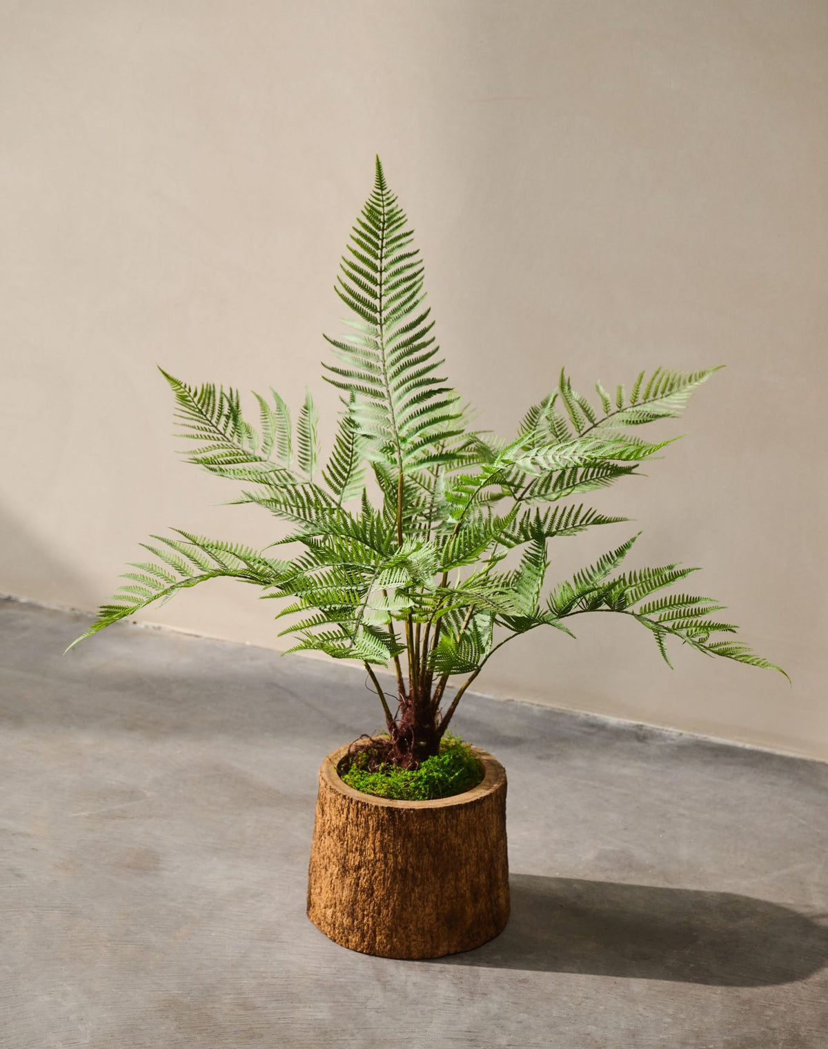 varen pot groen 86 cm