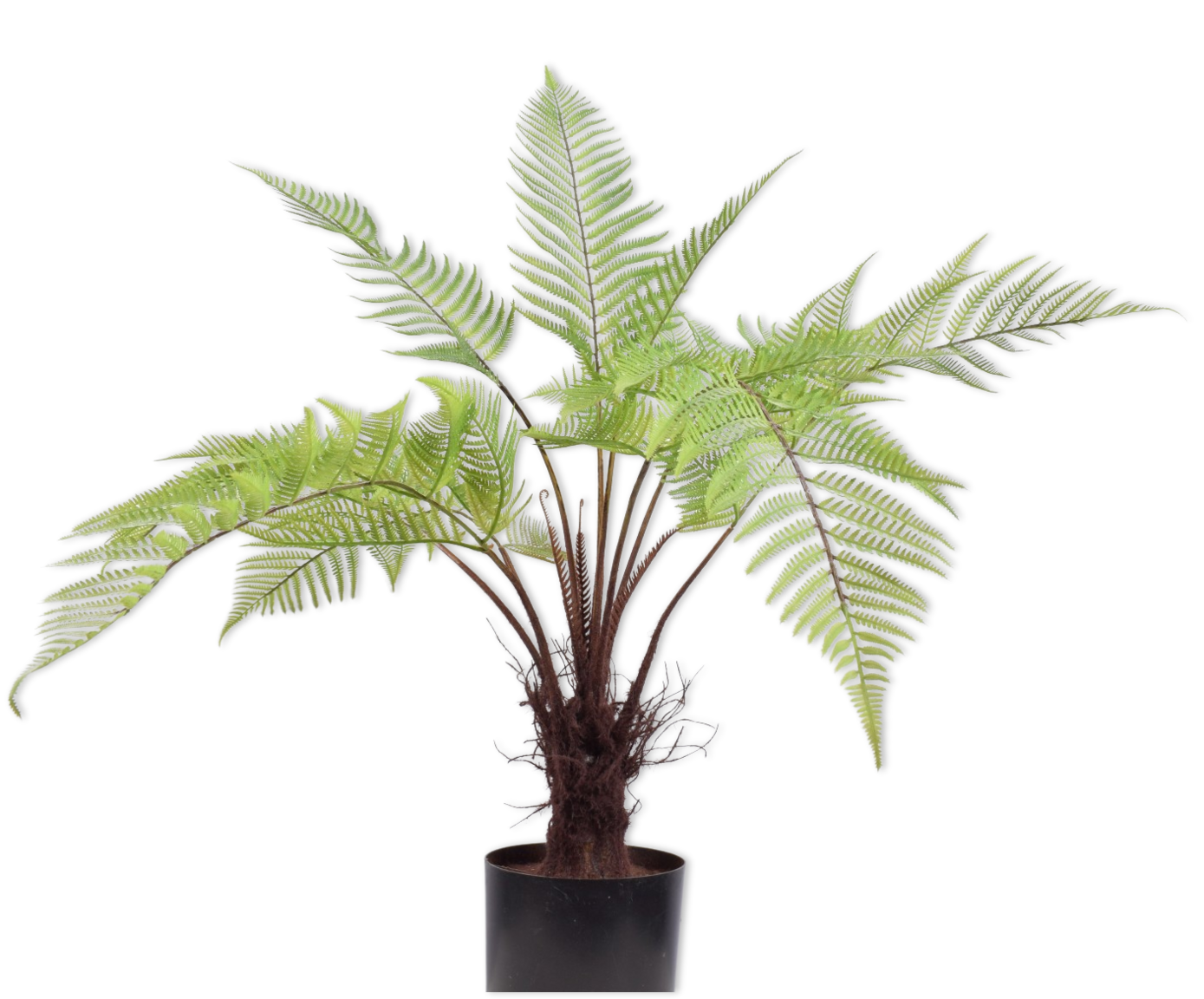 varen pot groen 86 cm
