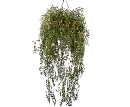 Hoya hang groen 150 cm