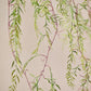 Hoya hang groen 120 cm