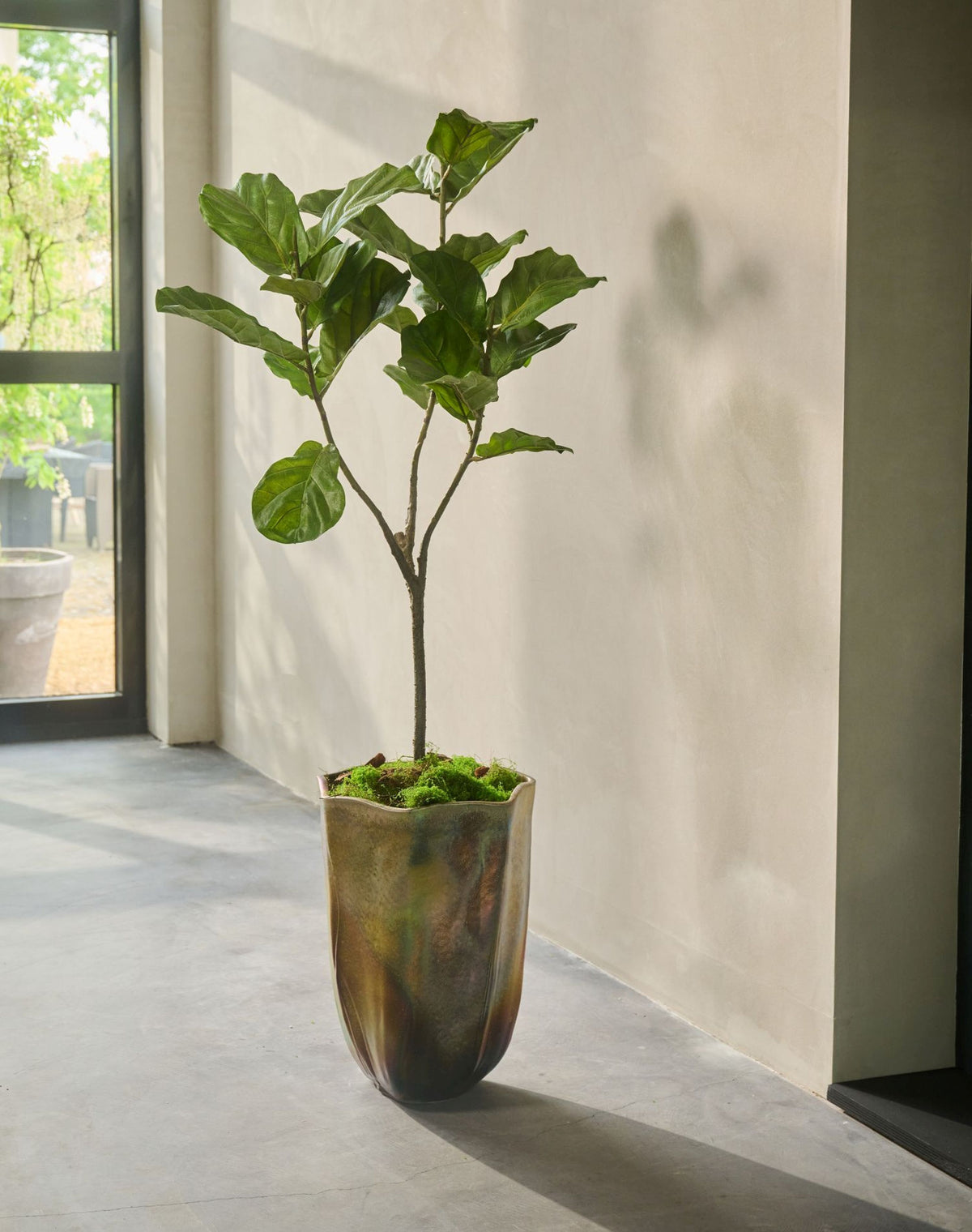 Ficus pot groen 151 cm