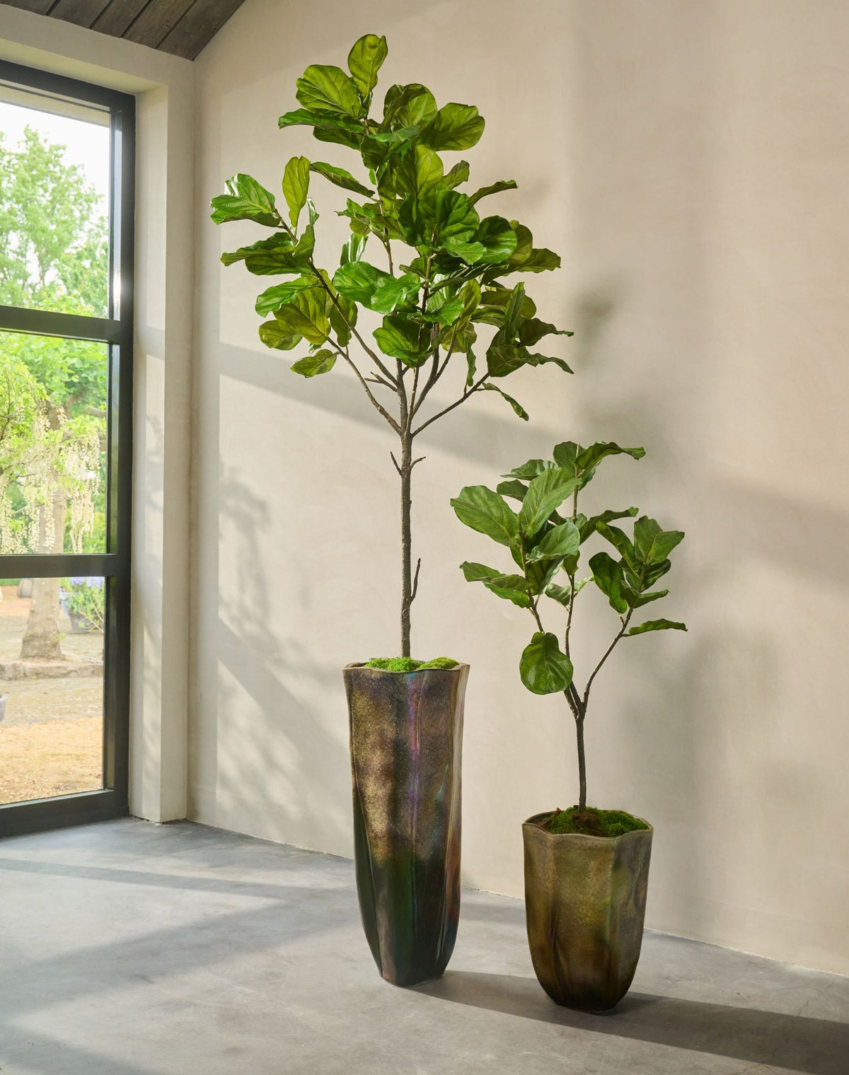 Ficus pot groen 151 cm