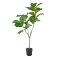 Ficus pot groen 151 cm