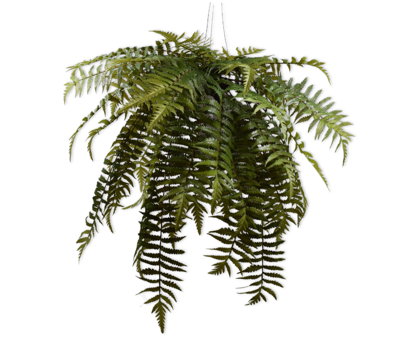 Varen hang groen 122 cm