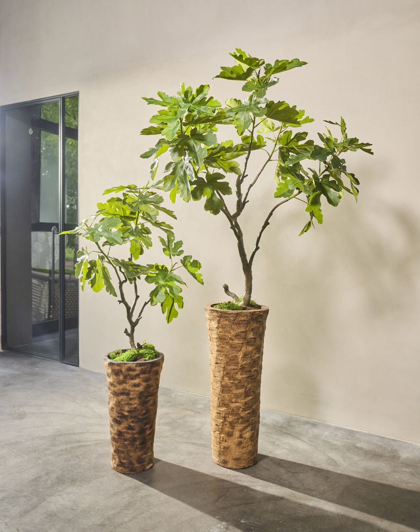 Vijg pot groen 122 cm
