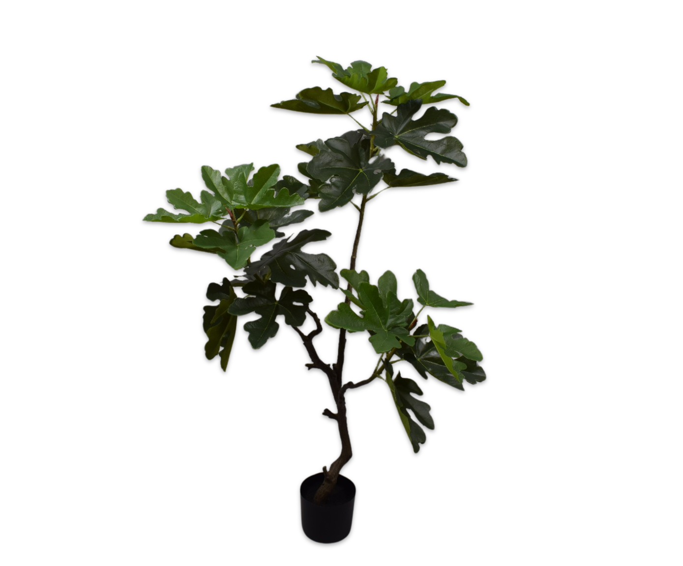 Vijg pot groen 122 cm