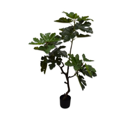 Vijg pot groen 122 cm