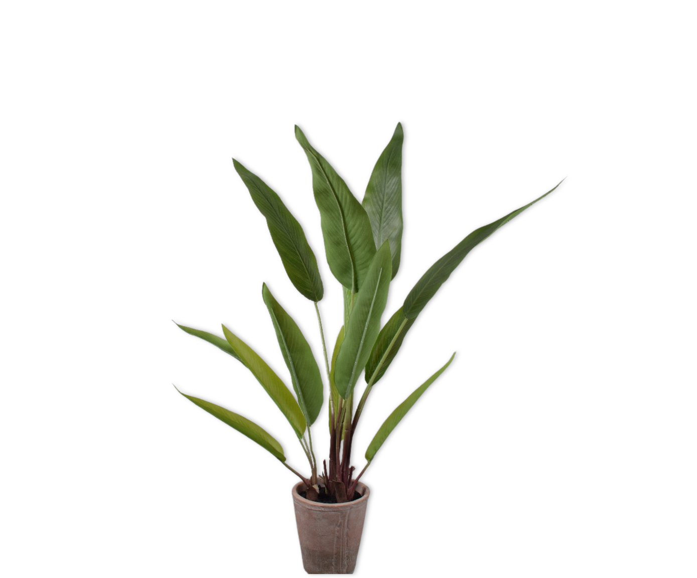 Alocasia pot groen 91 cm