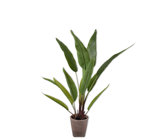Alocasia pot groen 91 cm