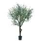 Olijf boom groen 305 cm