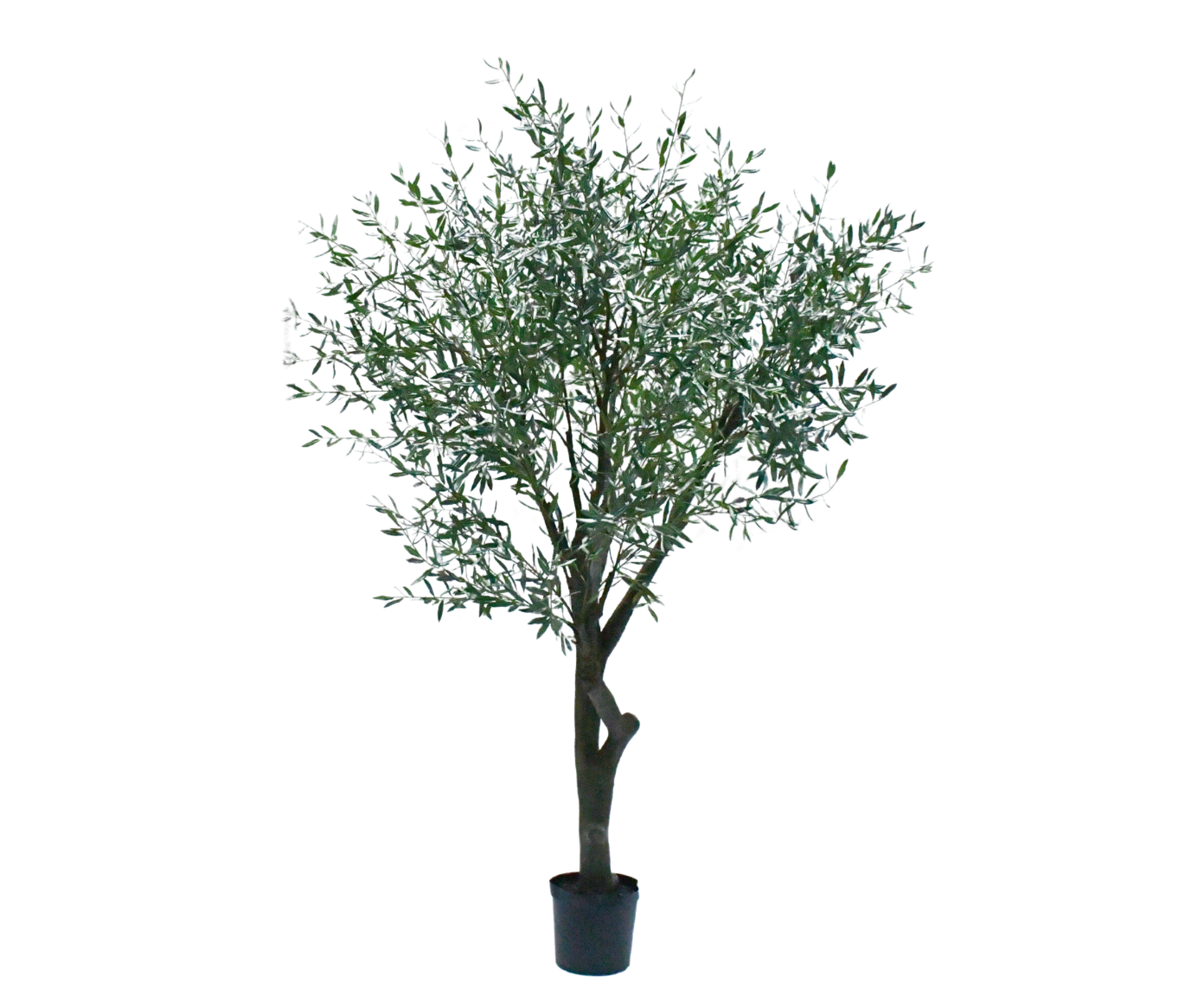 Olijf boom groen 305 cm