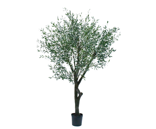 Olijf boom groen 305 cm