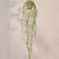 Senecio hang groen 173 cm