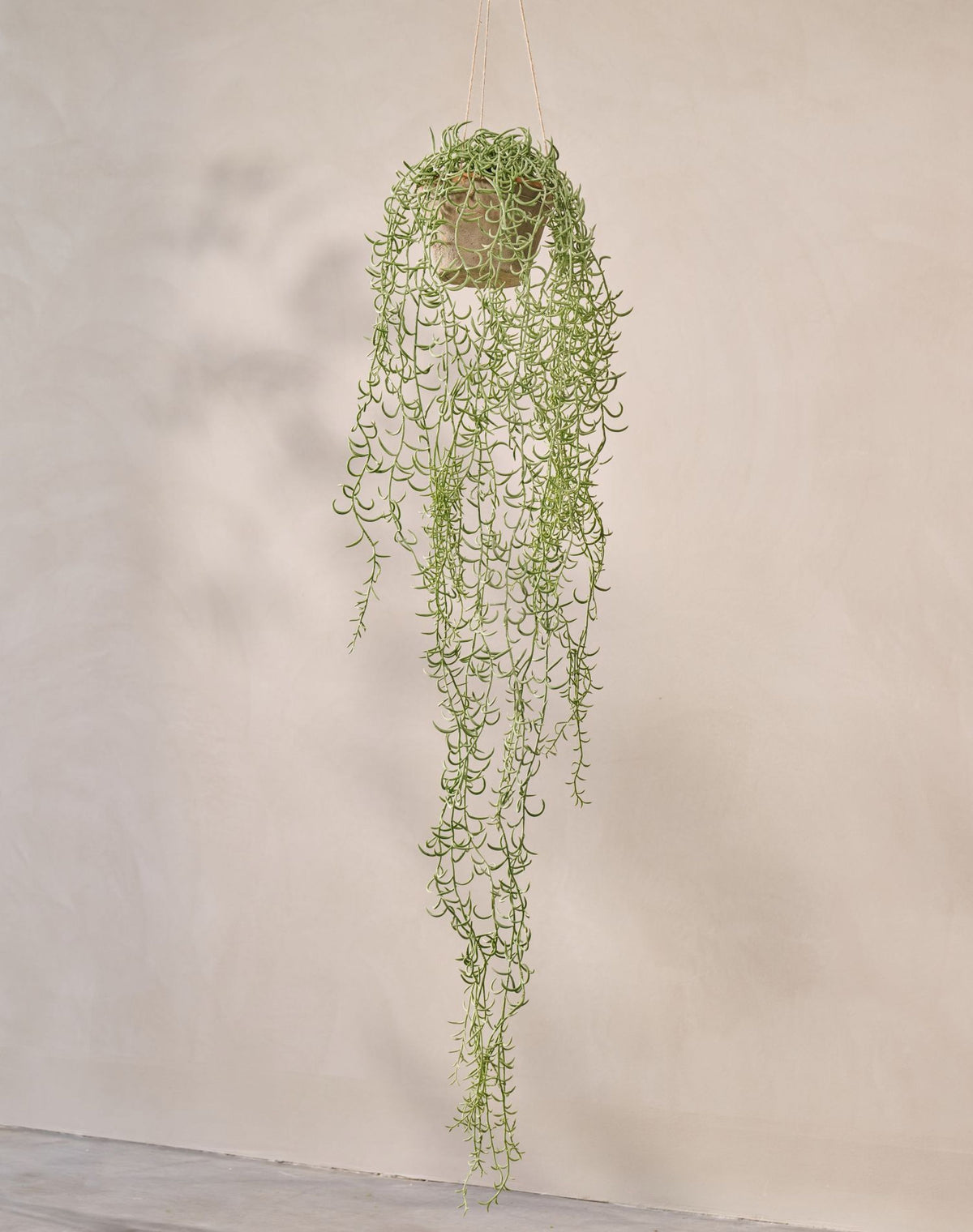 Senecio hang groen 173 cm