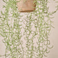 Senecio hang groen 173 cm
