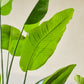 Strelitzia pot groen 120 cm