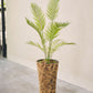 Palm pot groen 120 cm
