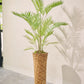 Ficus pot groen 120 cm