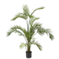 Ficus pot groen 120 cm