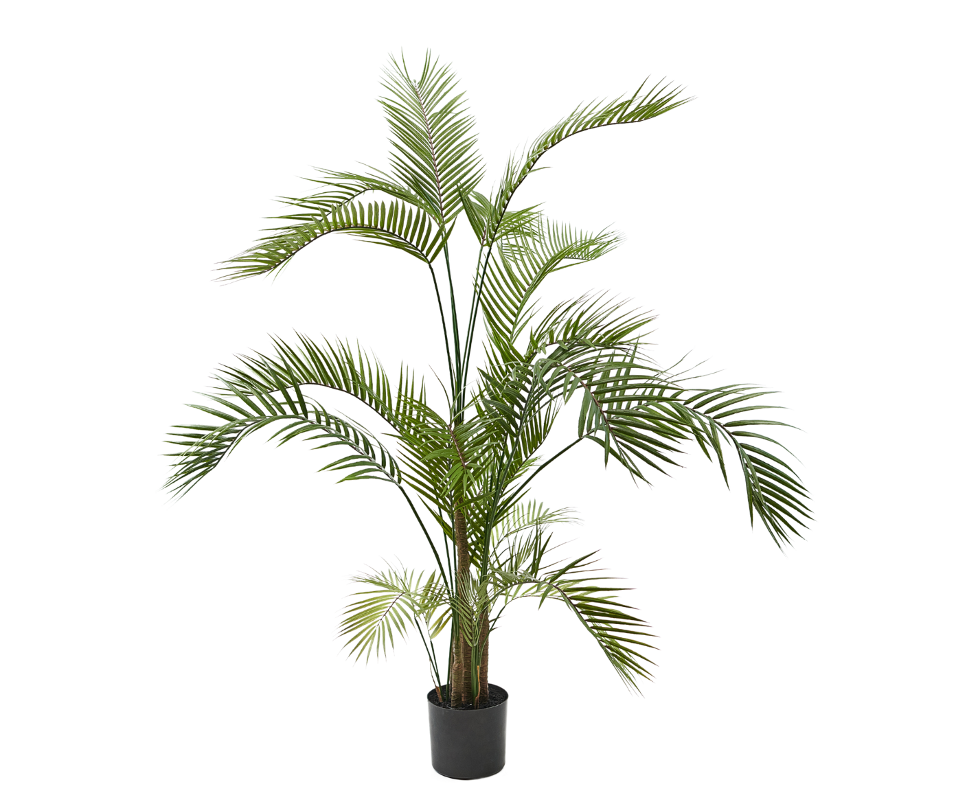 Palm pot groen 150 cm