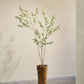 Olijf pot groen 234 cm