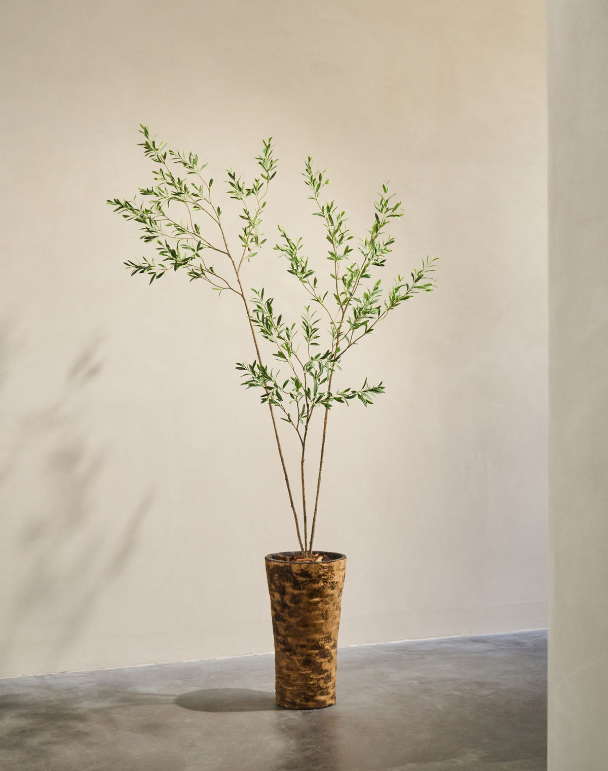 Olijf pot groen 234 cm