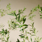 Olijf pot groen 234 cm