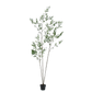 Olijf pot groen 234 cm